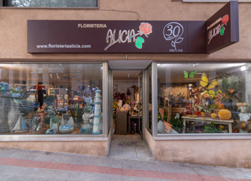 Floristería Alicia
